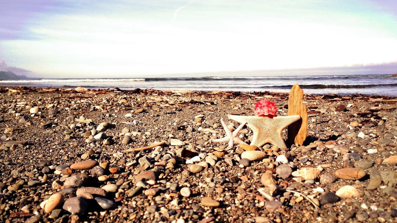 Photo of Others in Ilwaco