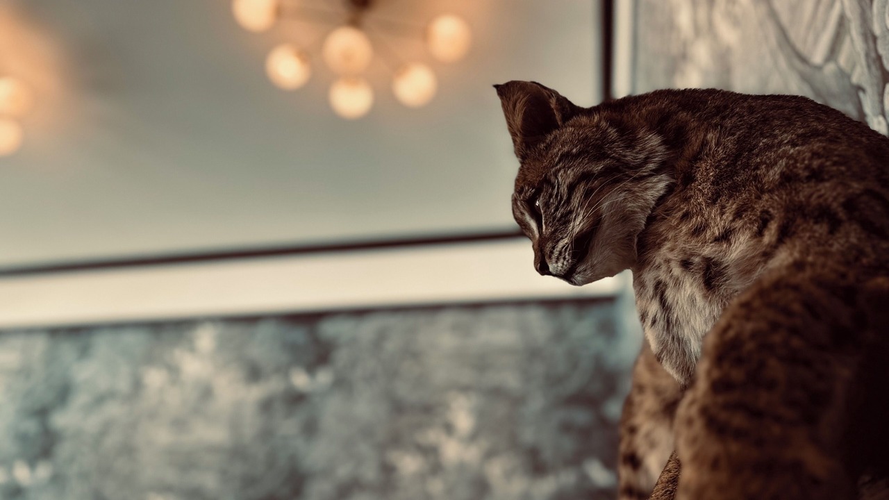 Photo of Others in Dayton