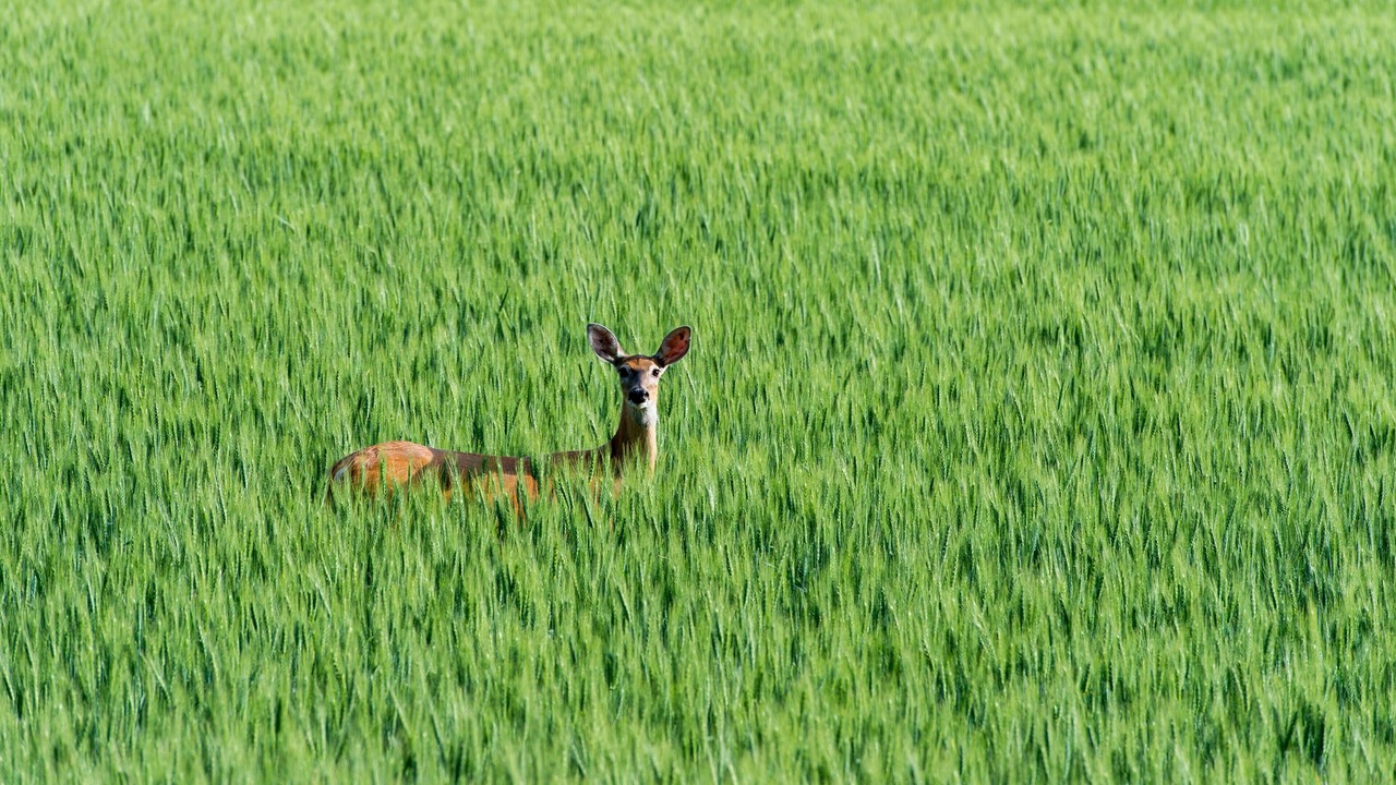 Photo of Others in Dayton
