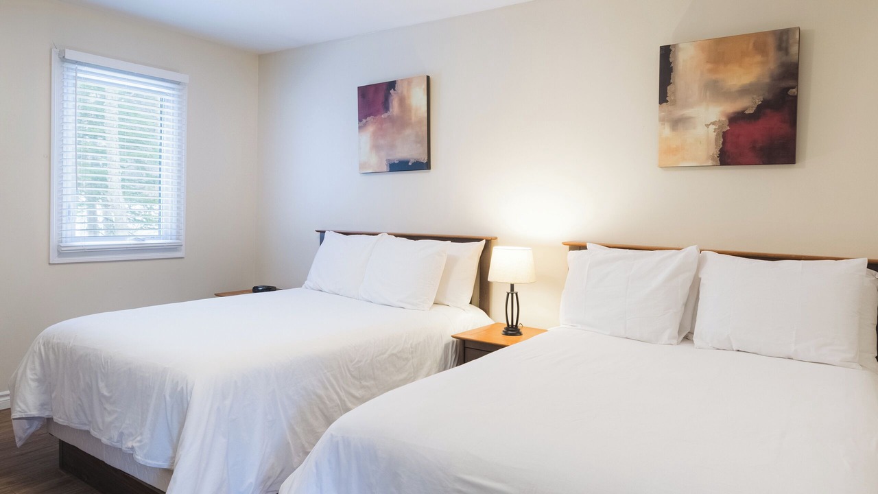 Photo of Others in Steady Brook