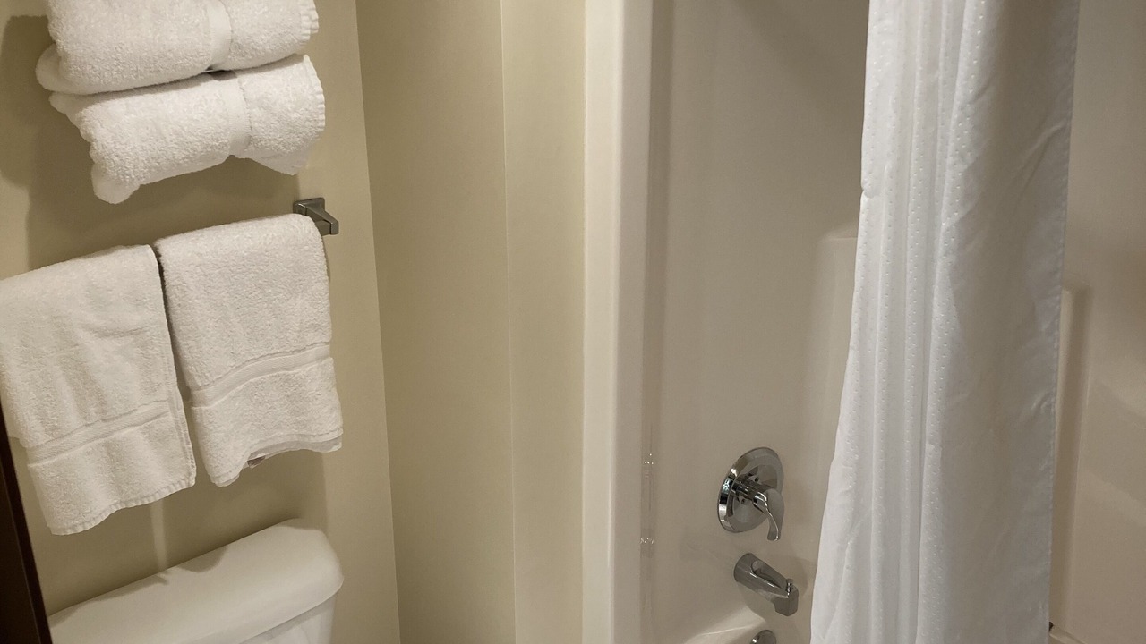 Photo of Bathroom in Christmas
