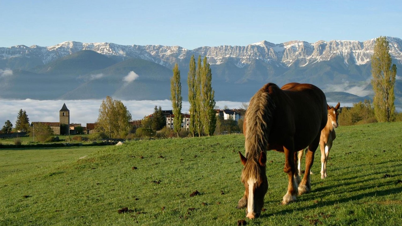 Photo of Outdoor in Lles
