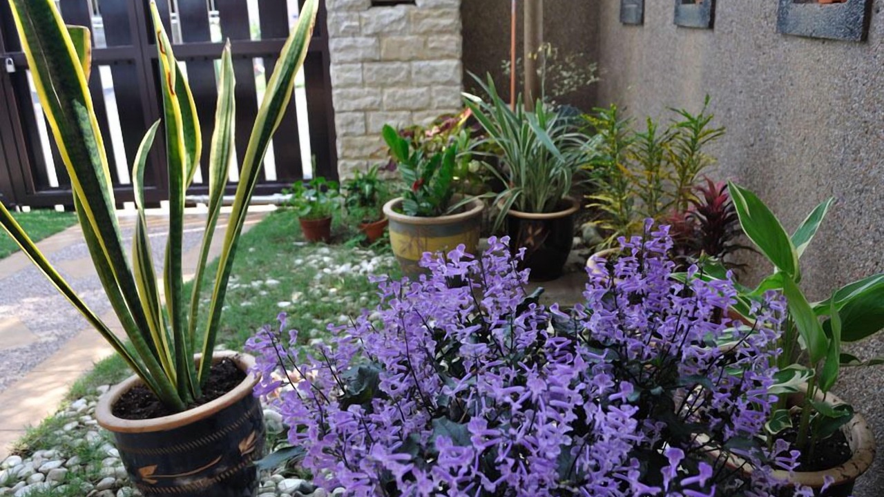 Photo of Patio Balcony in Bentong