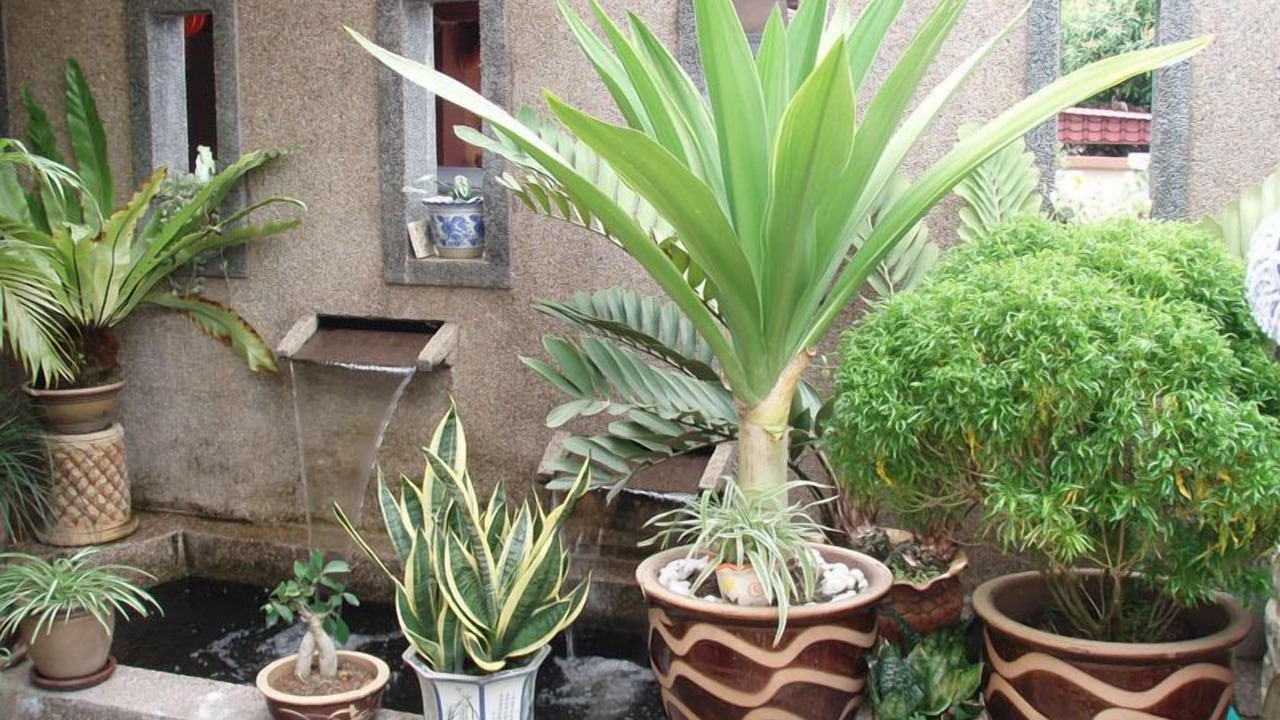 Photo of Patio Balcony in Bentong