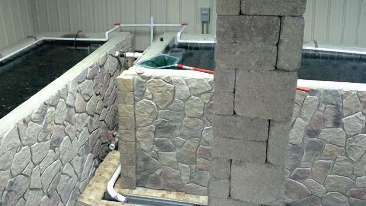 Photo of Others in Gypsum