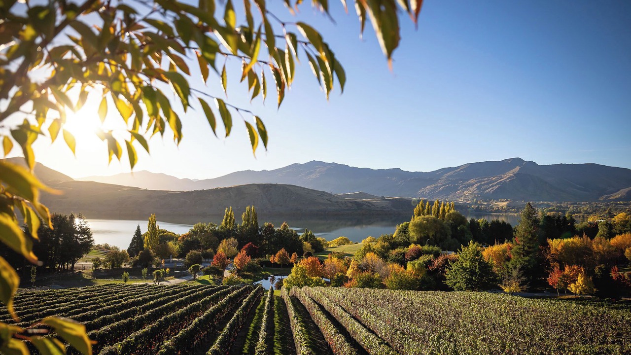 Photo of Outdoor in Lake Hayes