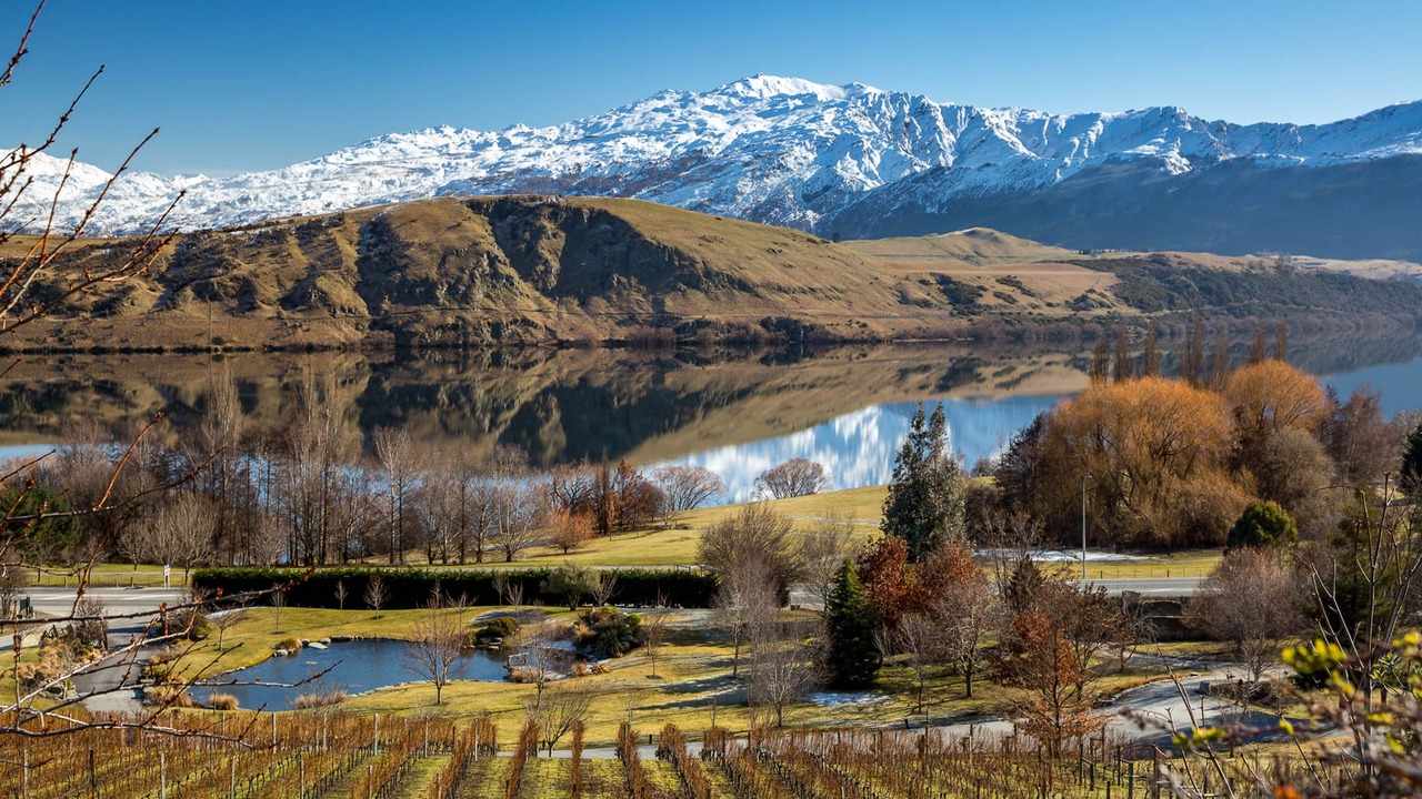 Photo of Others in Lake Hayes