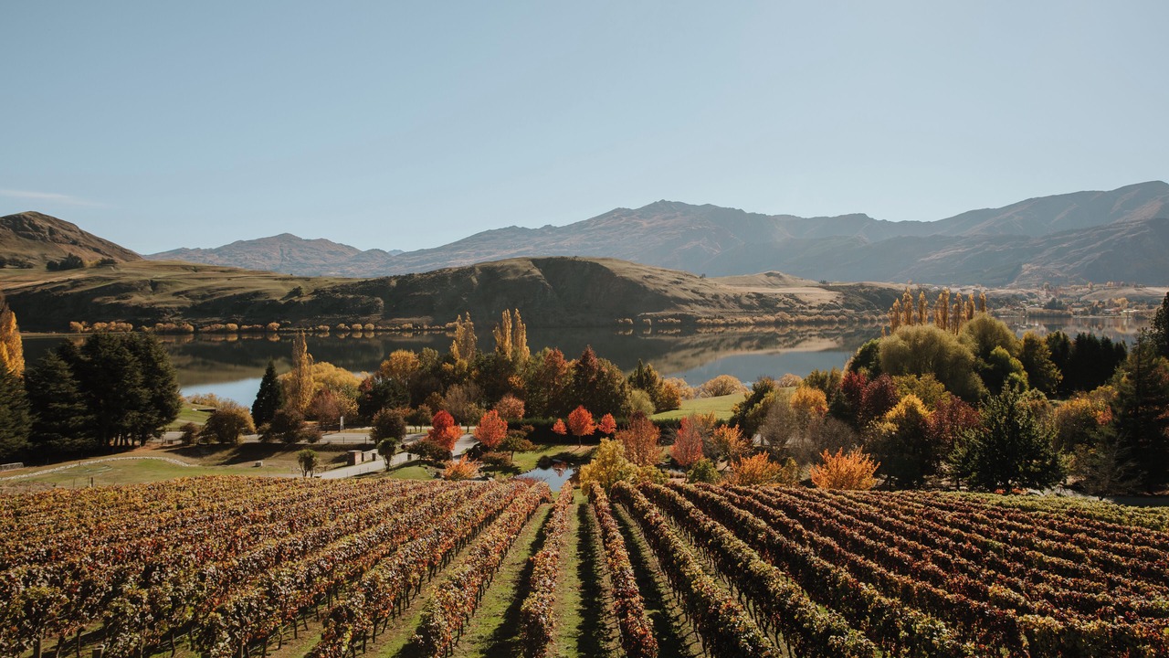 Photo of Outdoor in Lake Hayes