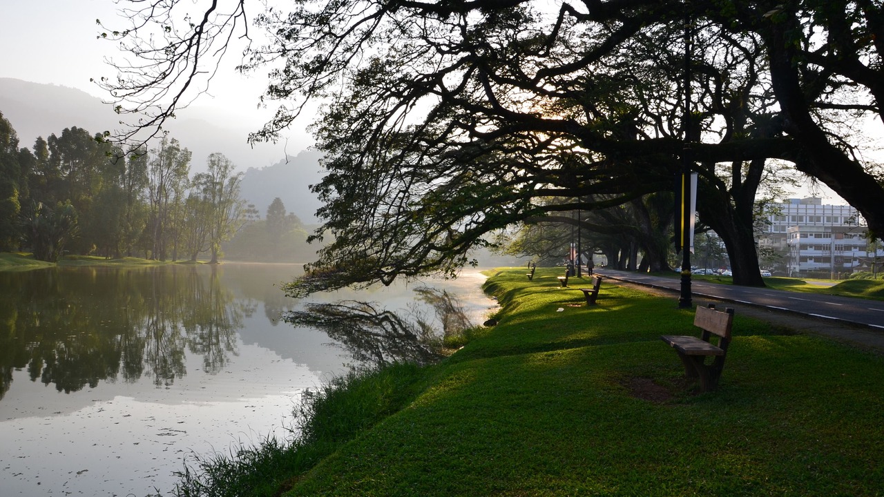 Photo of Outdoor in Larut