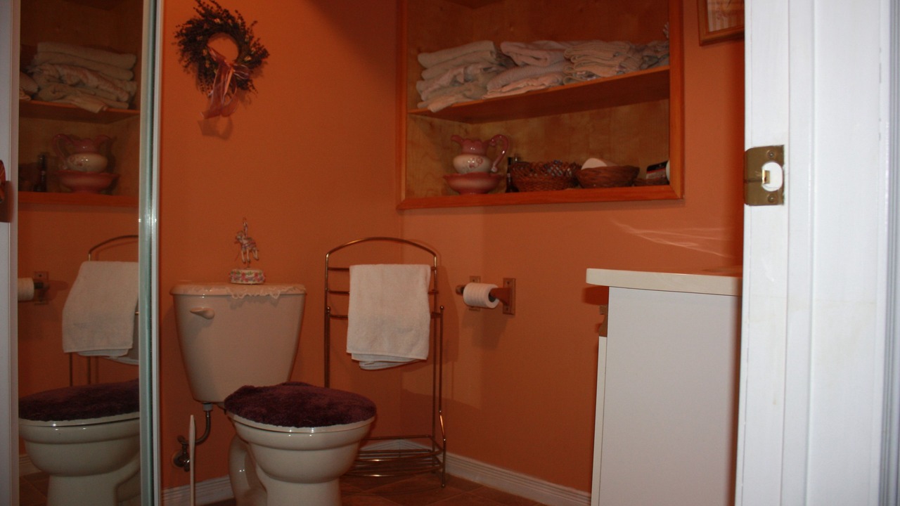 Photo of Bathroom in Cayuga