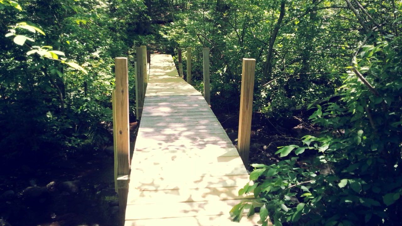 Photo of Outdoor in Ledyard