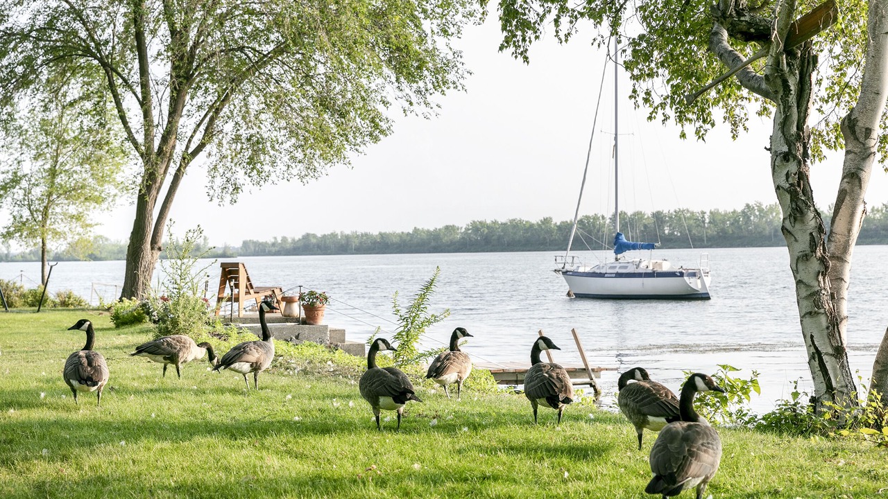Photo of Outdoor in Brossard