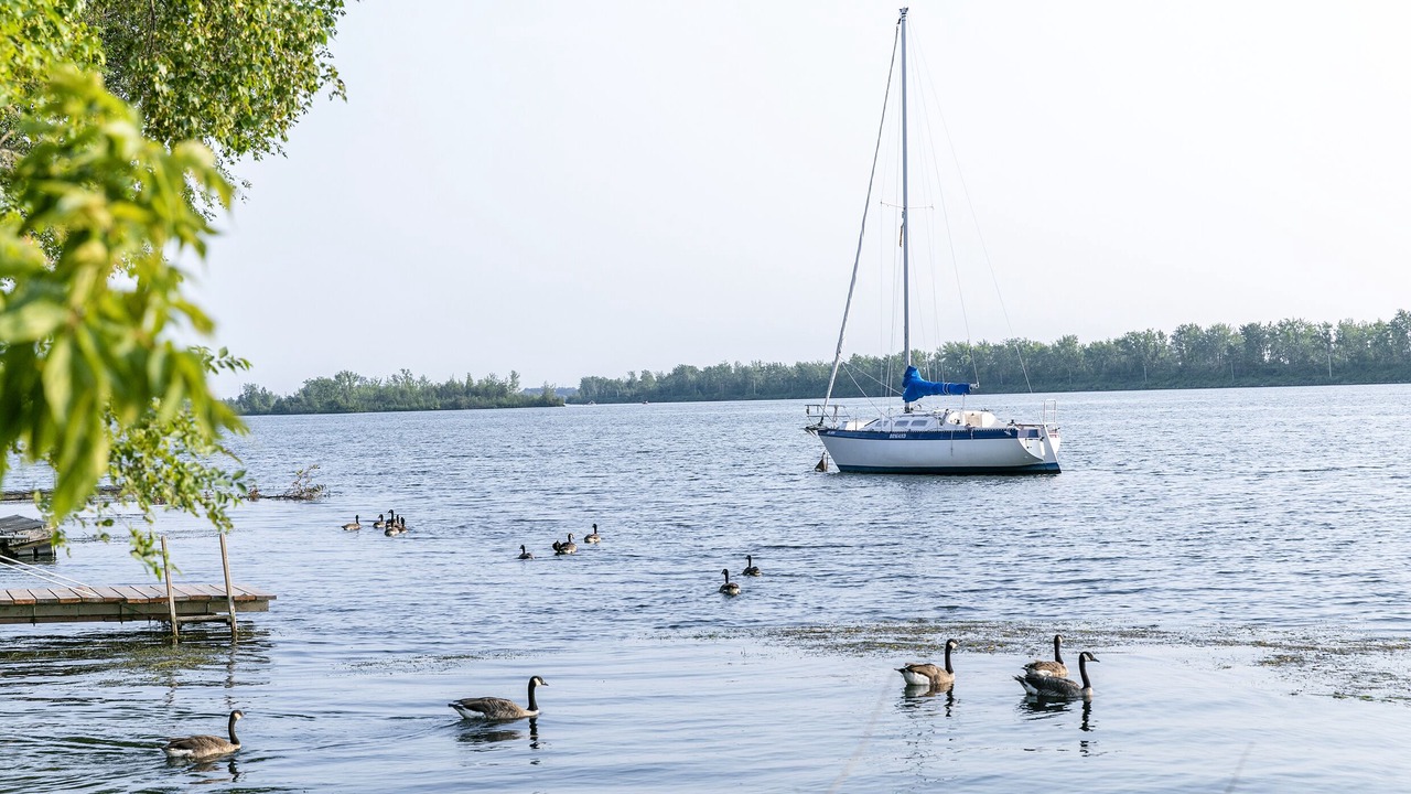 Photo of Outdoor in Brossard