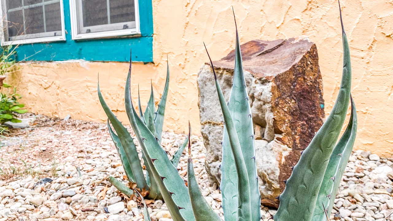 Photo of Outdoor in San Angelo
