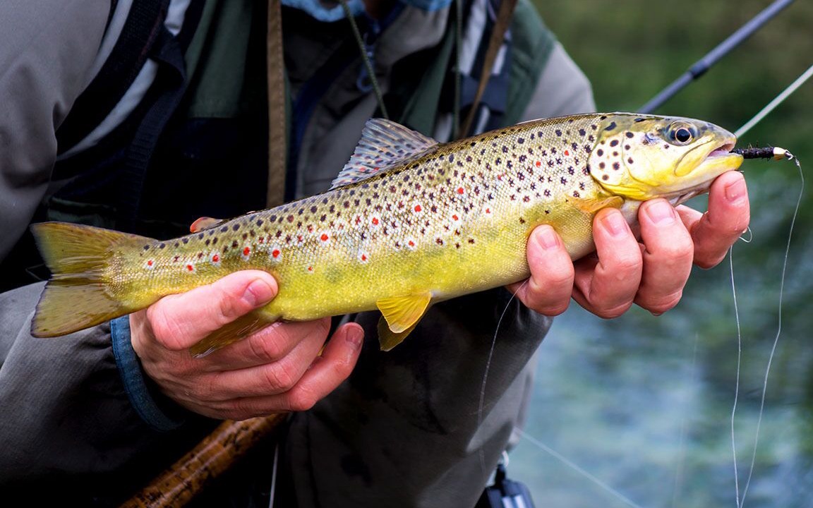 Photo of Others in Ullapool