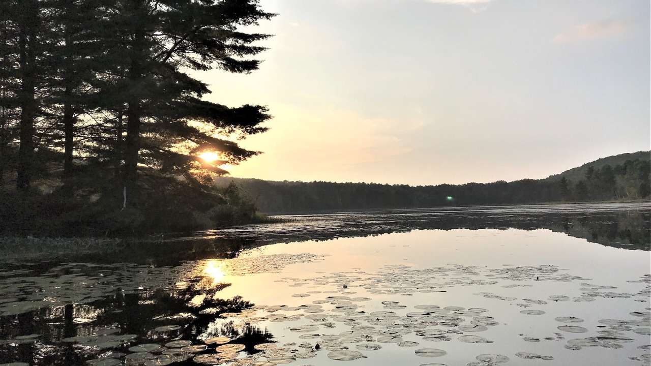 Photo of Outdoor in Purdy