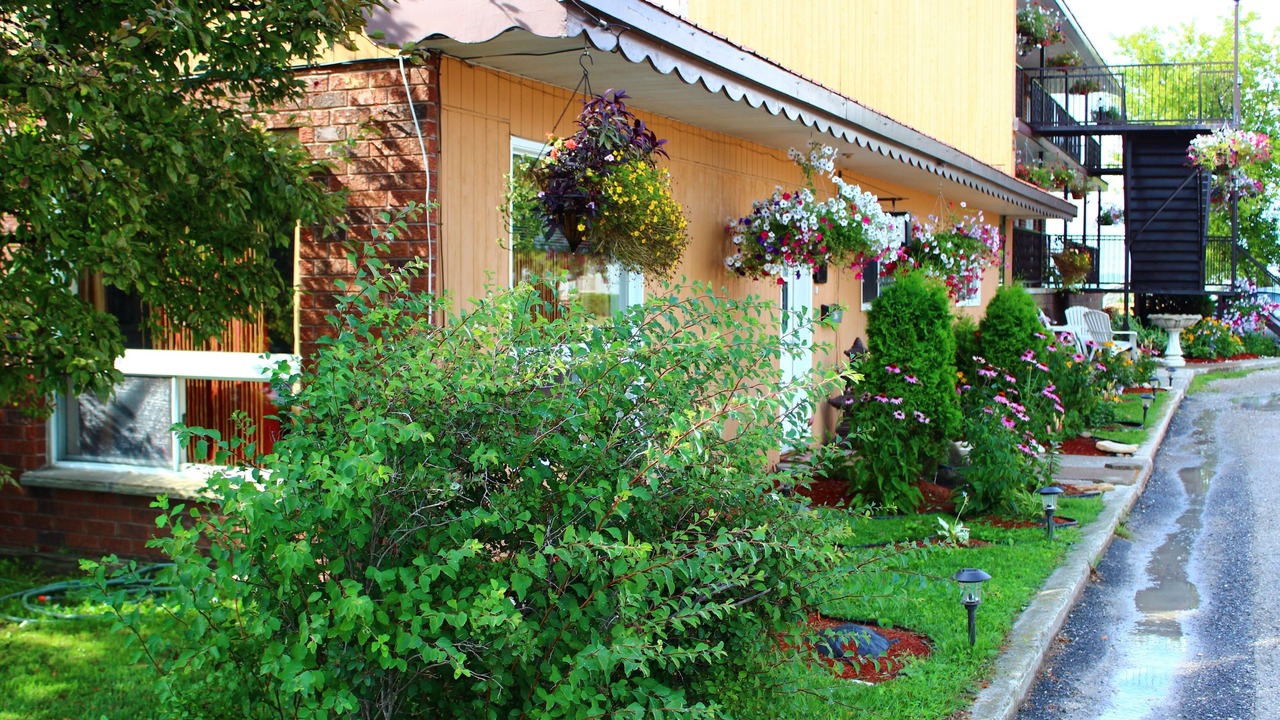 Photo of Outdoor in Little Current