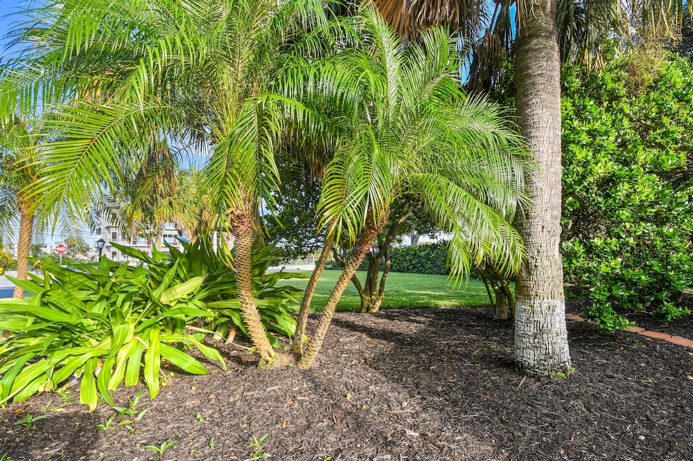 Photo of Outdoor in Tequesta