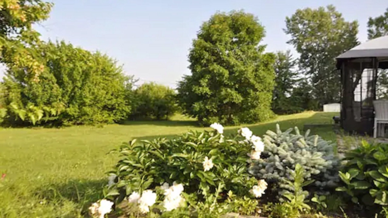 Photo of Outdoor in Buckingham