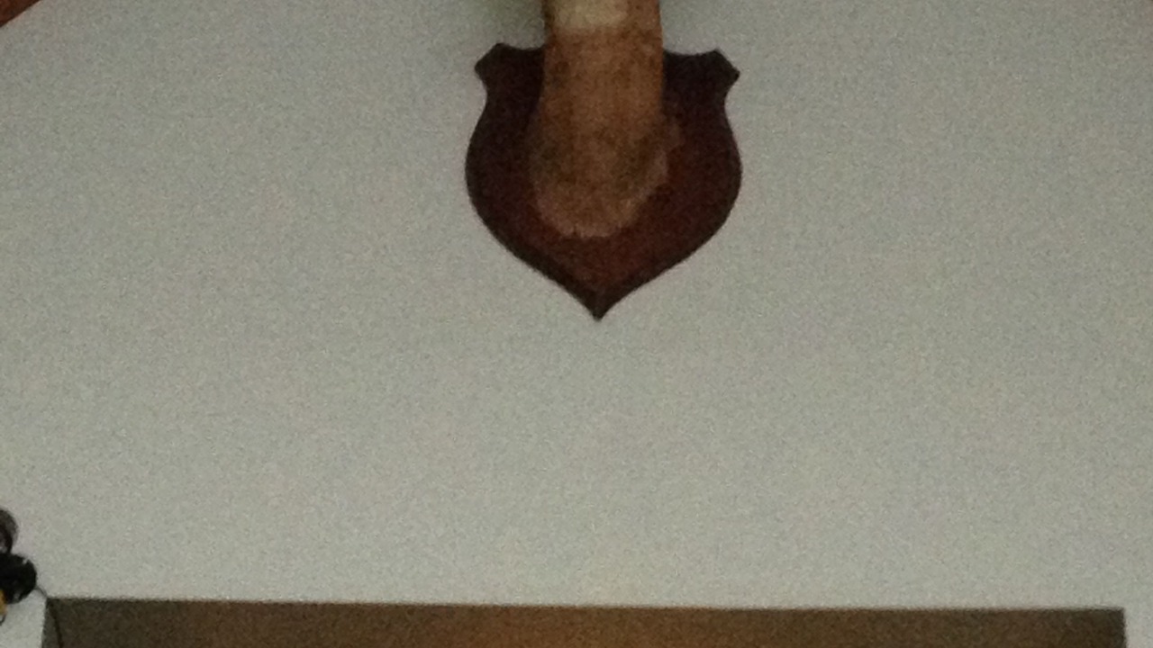 Photo of Others in Chaffee