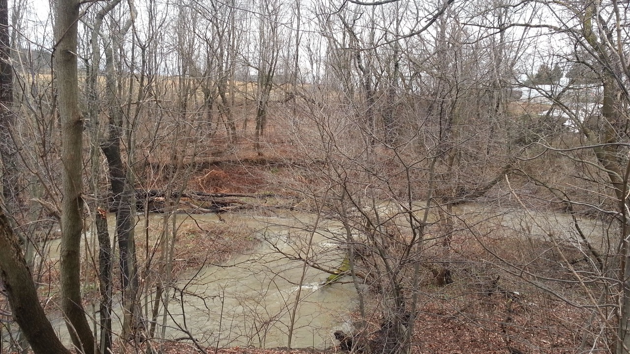 Photo of Outdoor in Chaffee