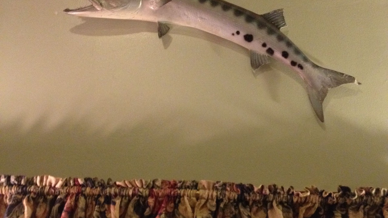 Photo of Others in Chaffee