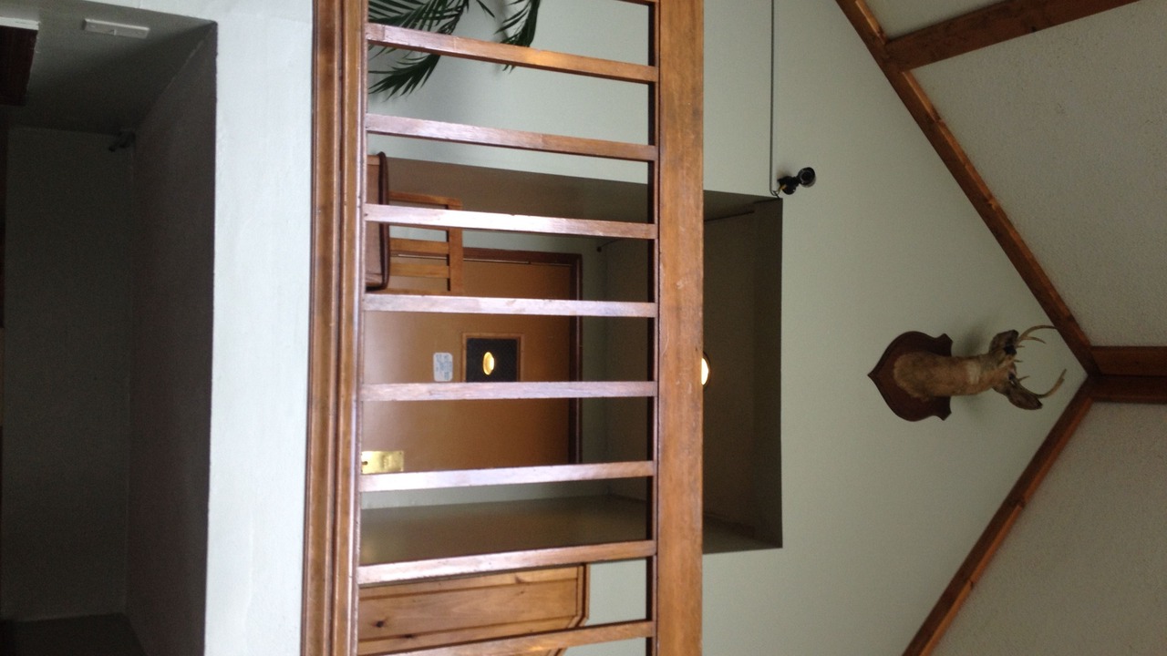 Photo of Others in Chaffee