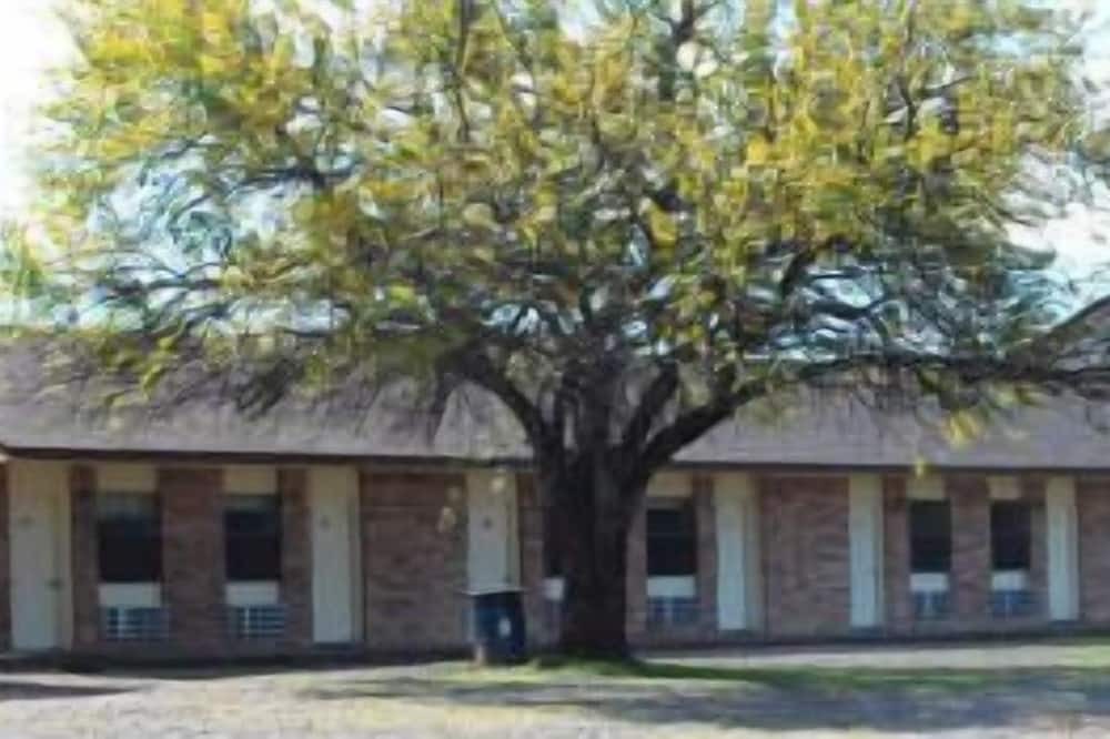 Photo of Outdoor in Alba