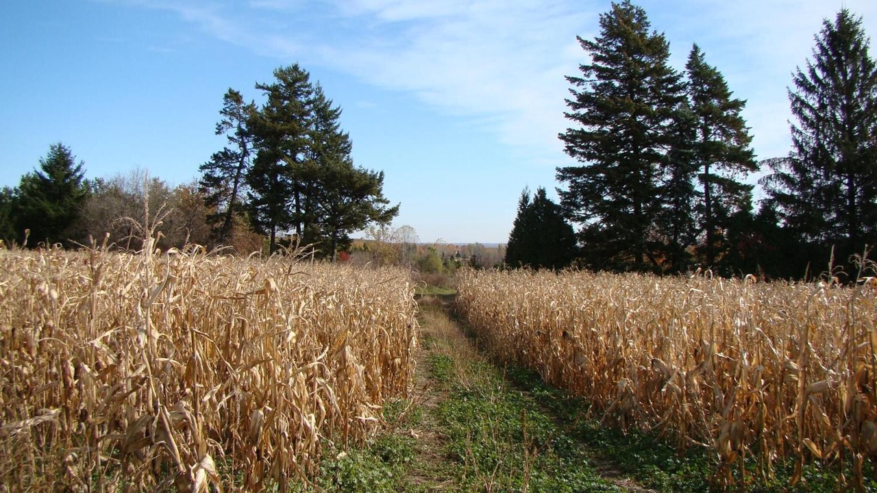 Photo of Outdoor in Oka