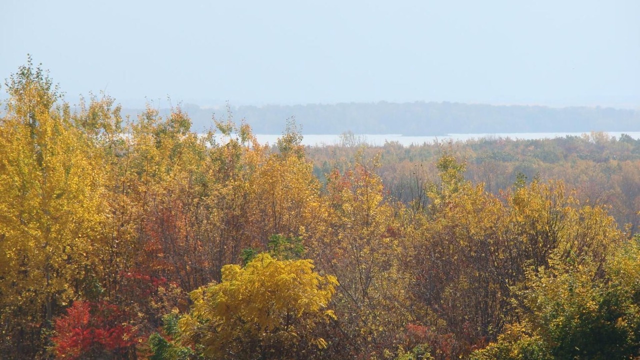 Photo of Outdoor in Oka