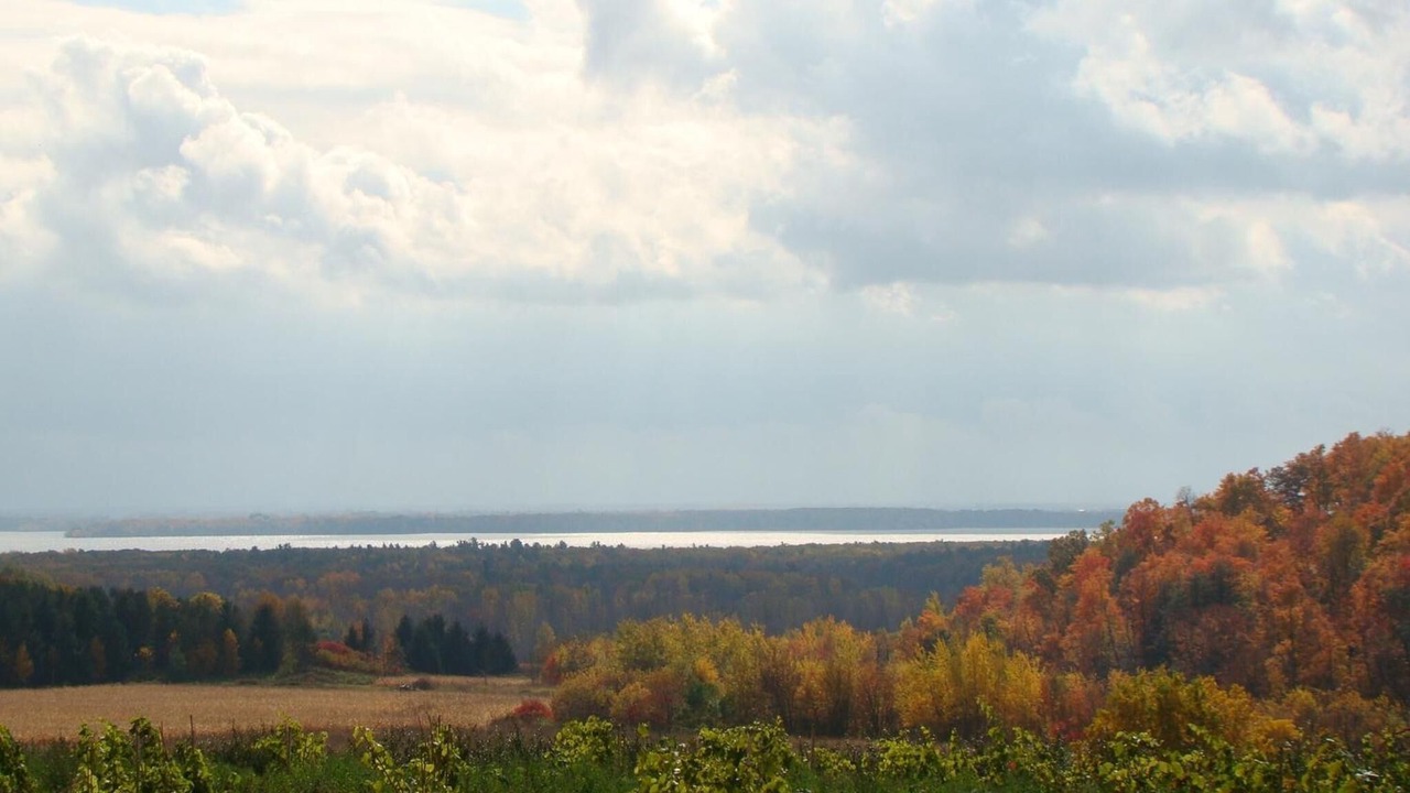 Photo of Others in Oka