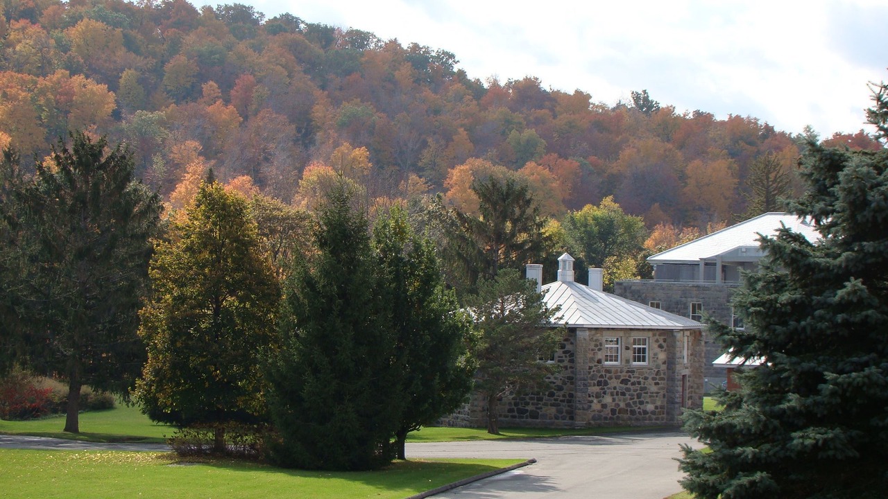 Photo of Outdoor in Oka