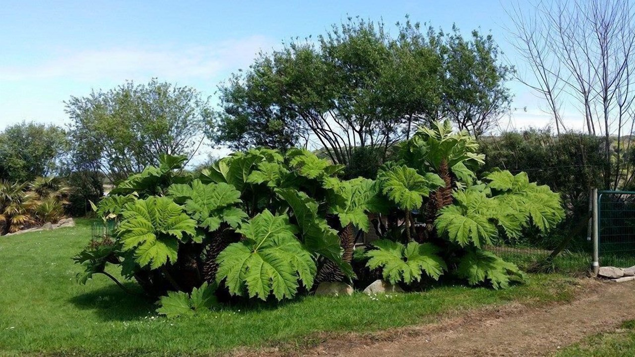 Photo of Outdoor in Omonville-la-Petite