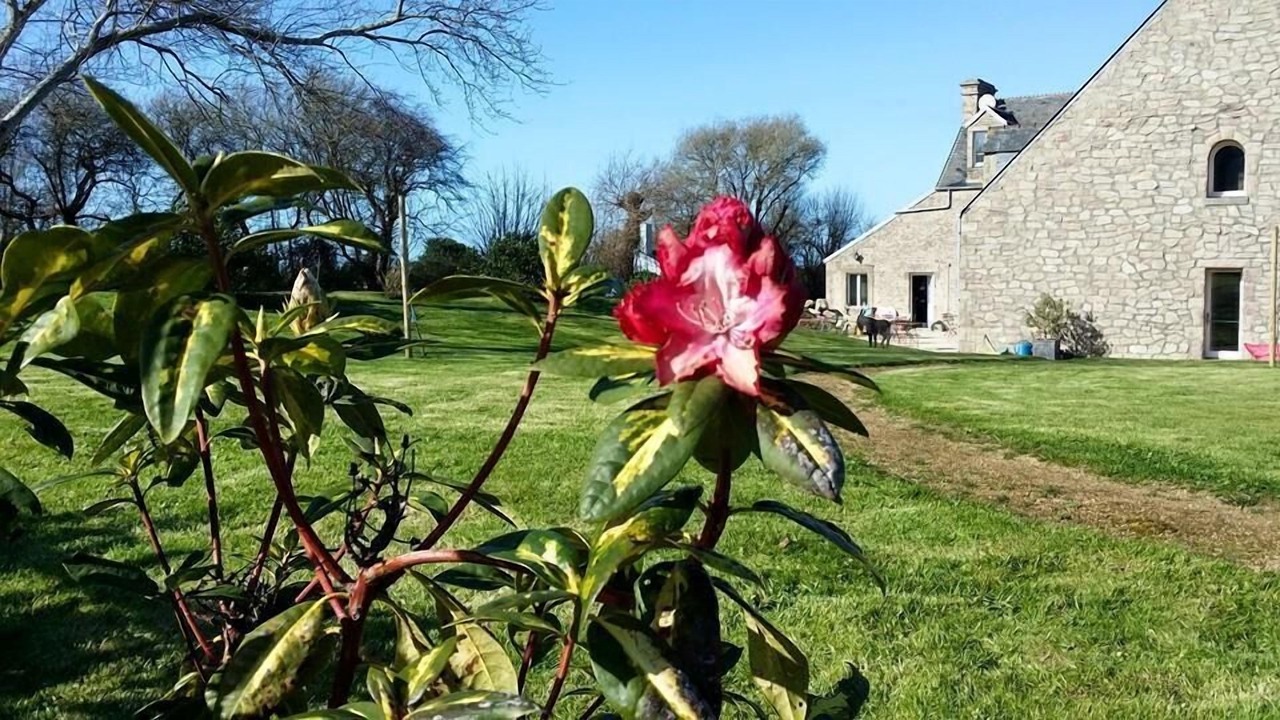Photo of Outdoor in Omonville-la-Petite