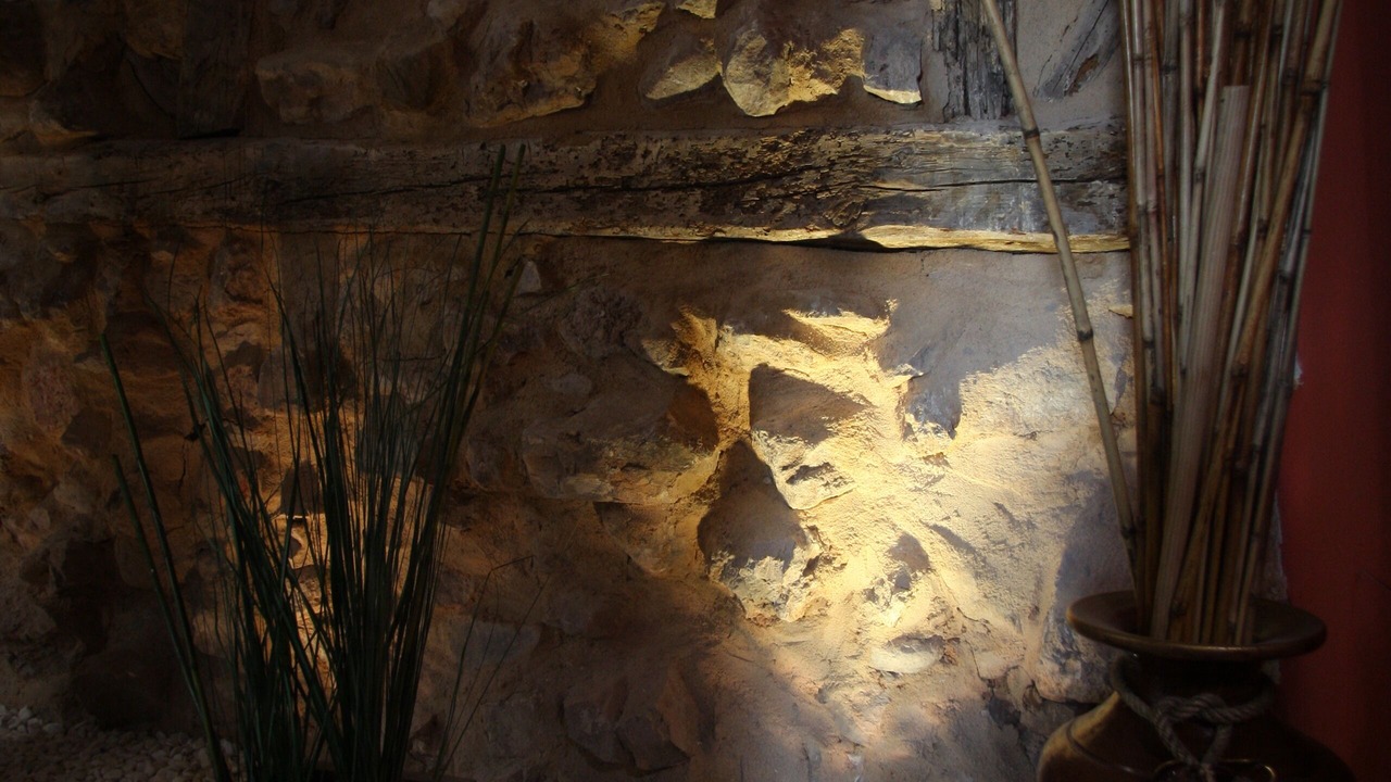 Photo of Others in Soria