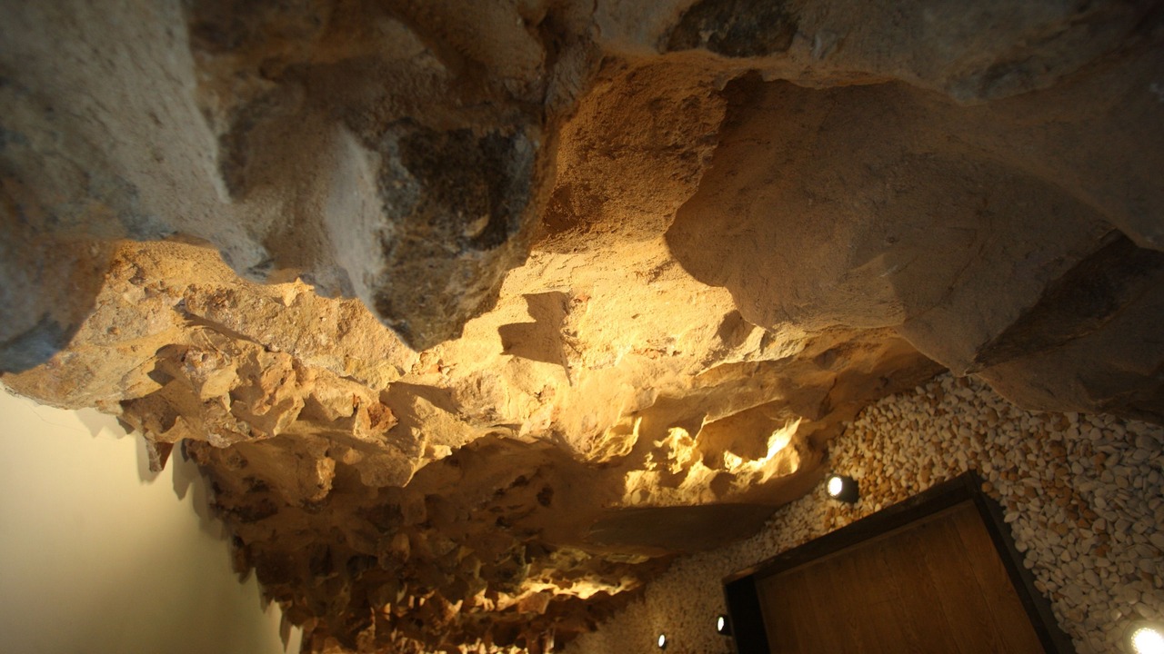 Photo of Others in Soria