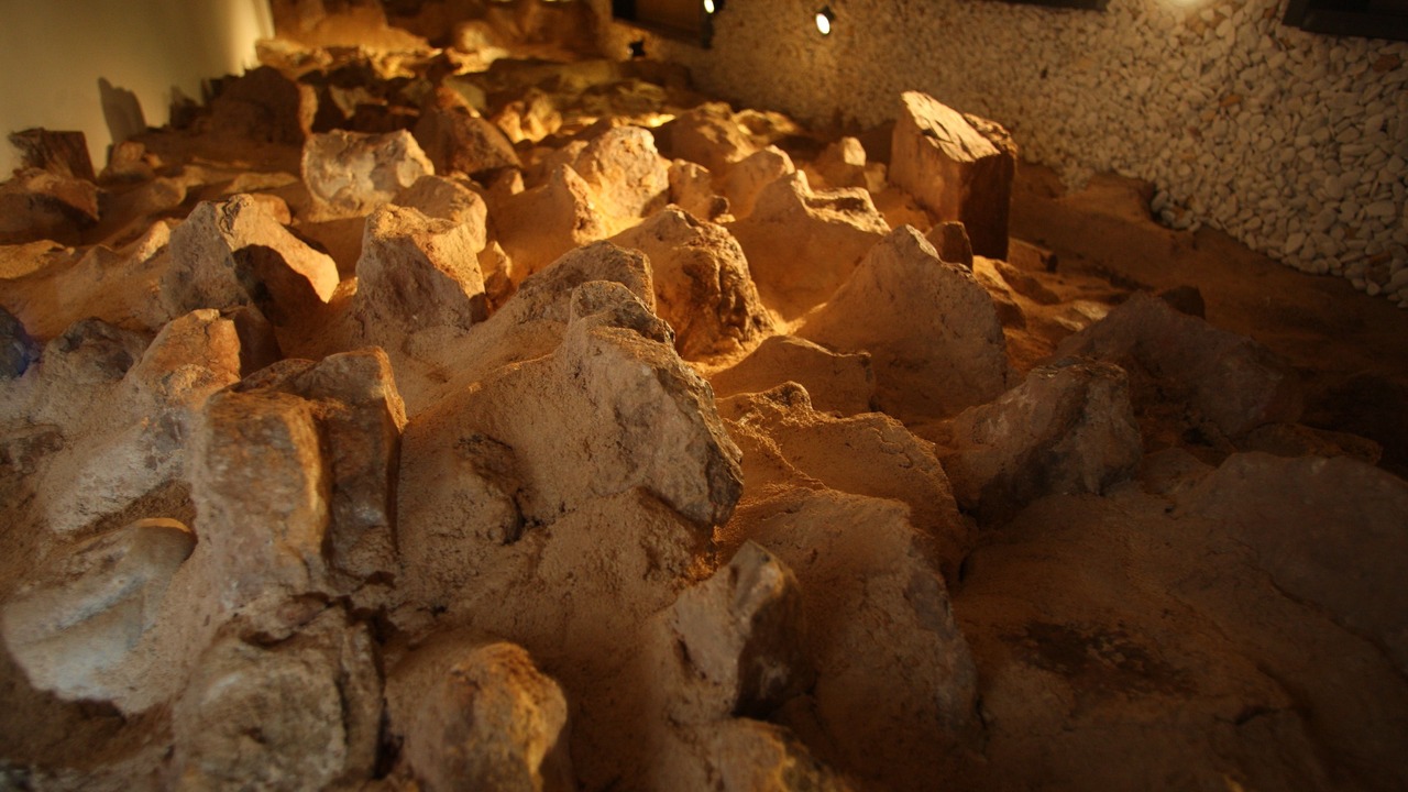 Photo of Others in Soria