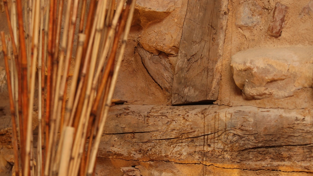 Photo of Others in Soria