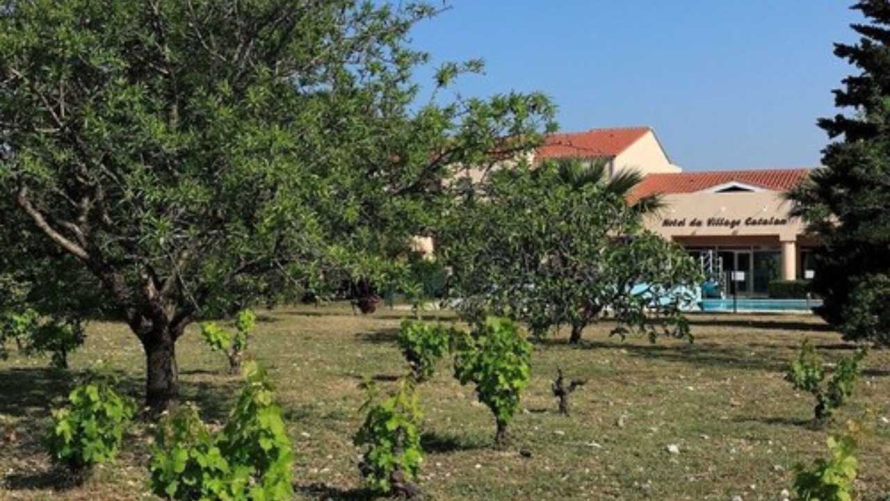 Photo of Outdoor in Banyuls-dels-Aspres