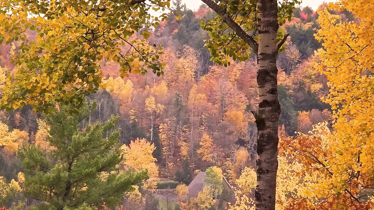 Photo of Outdoor in Lac-McGregor