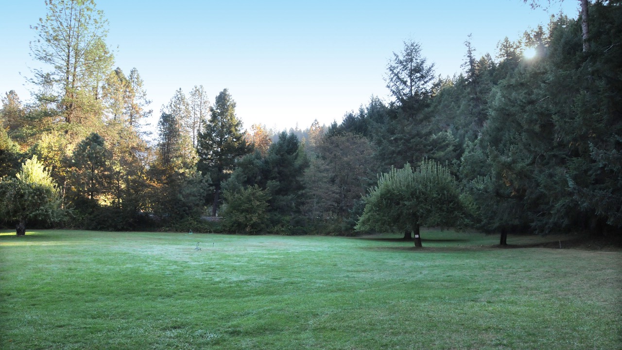 Photo of Others in Merlin