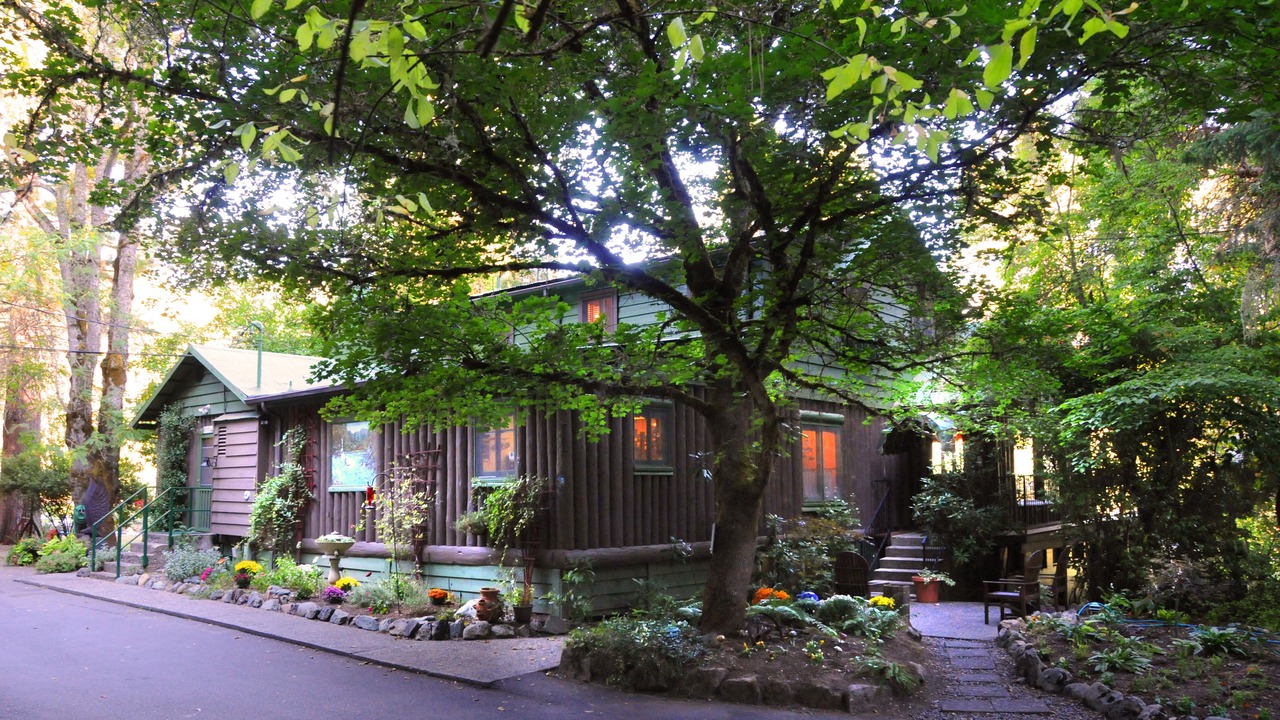 Photo of Outdoor in Merlin