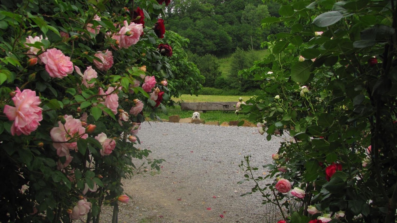 Photo of Outdoor in Bidache