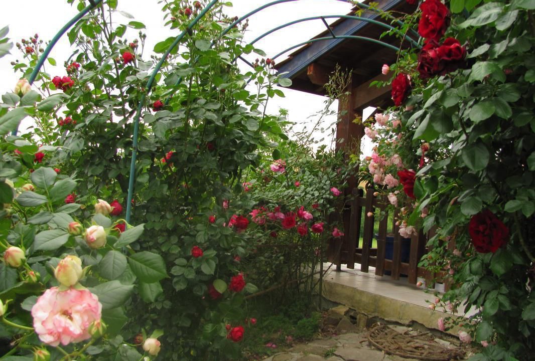 Photo of Outdoor in Bidache