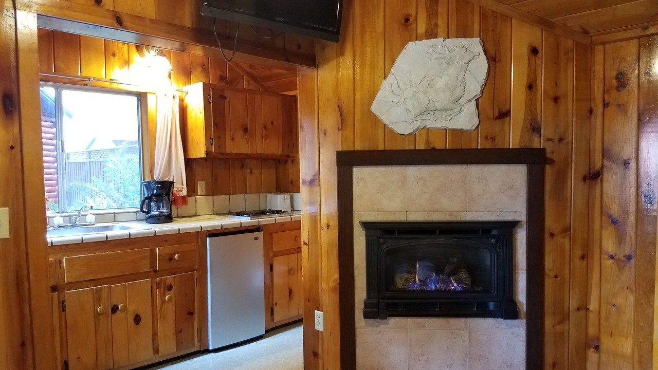 Photo of Livingroom in Felton