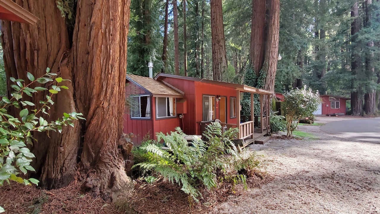 Photo of Livingroom in Felton