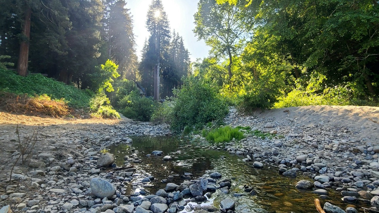 Photo of Others in Felton