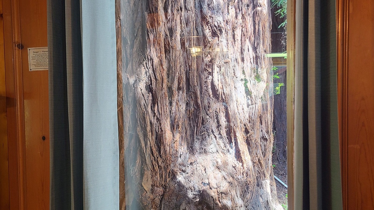 Photo of Livingroom in Felton