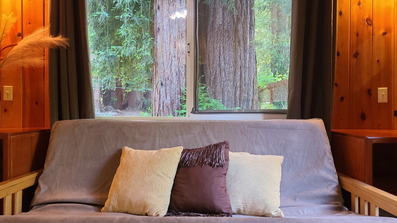 Photo of Livingroom in Felton