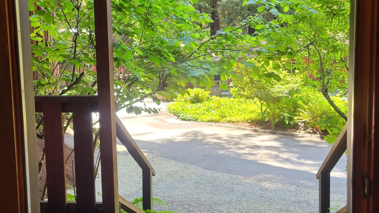 Photo of Others in Felton